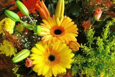 Flors