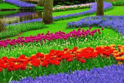image jigsaw puzzle