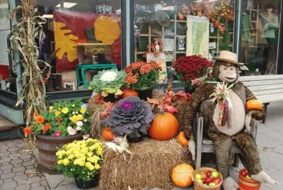 Fall shop display