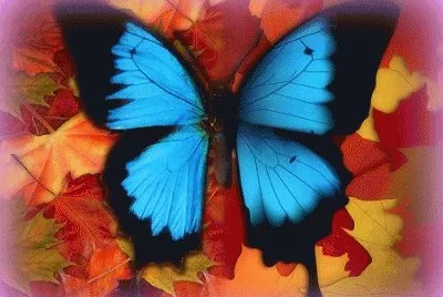 image jigsaw puzzle