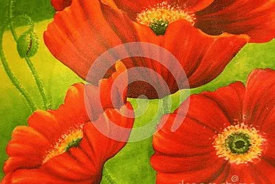 foto jigsaw puzzle
