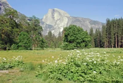 Yosemite NP 1