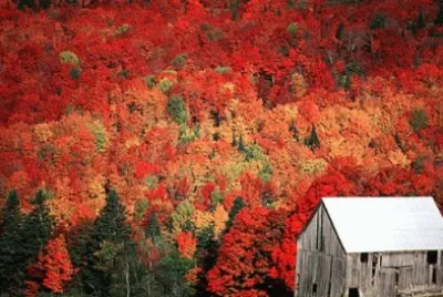 Vermont