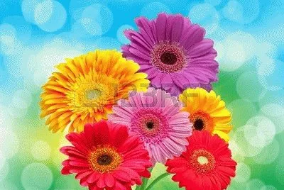 image jigsaw puzzle