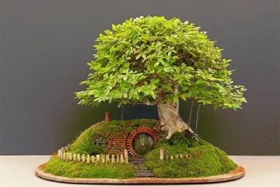 Bonsai 5 jigsaw puzzle