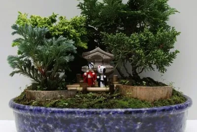 Bonsai 7. jigsaw puzzle