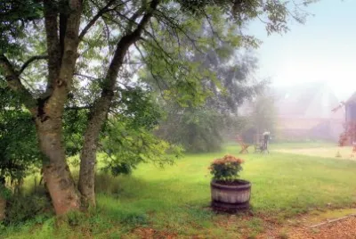 Misty Gardens