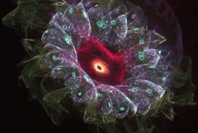 another flower fractal