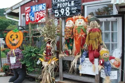 Scarecrows for sale