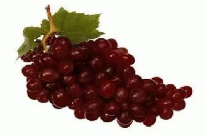 Uvas