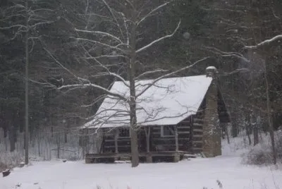 cabin the the woods