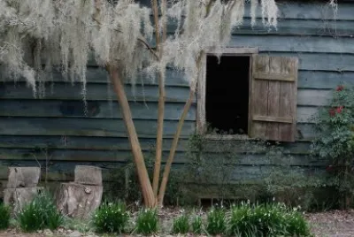 old blue cabin