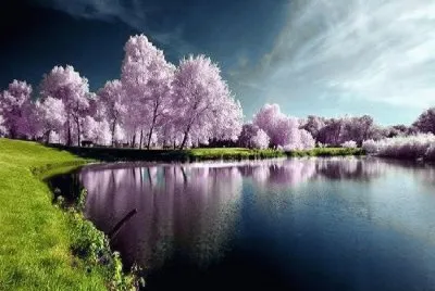 paisagem jigsaw puzzle