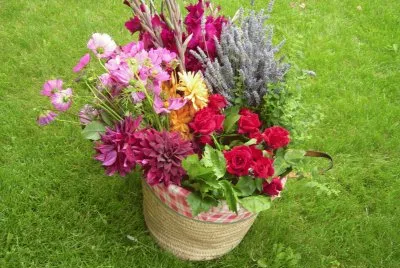 Flors
