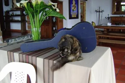 la guitarra