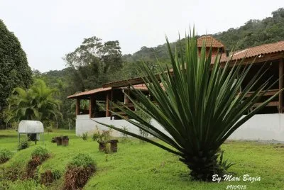 Natureza