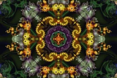 beautiful forest flowers