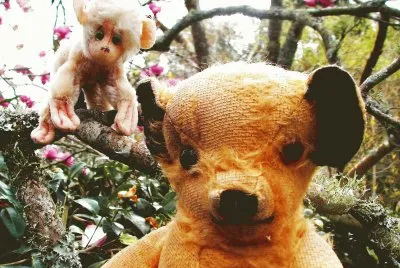 Teddy bear and monkey