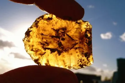 ancient carved amber jigsaw puzzle