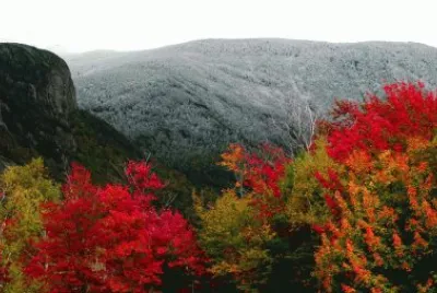 color and rock