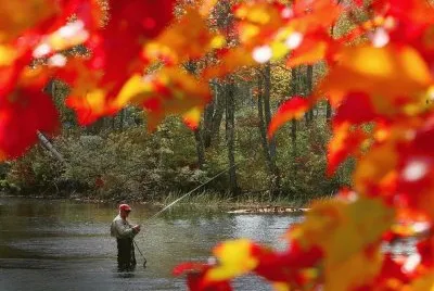 פאזל של fall fishing