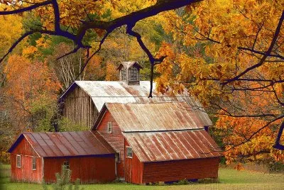 barn near Traverse City
