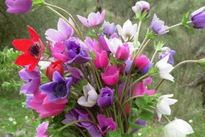 flores jigsaw puzzle