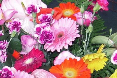 Flors