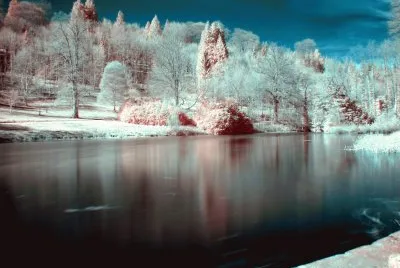 still waters infrared jigsaw puzzle