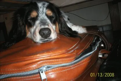 Astor*