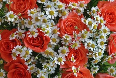 flores jigsaw puzzle