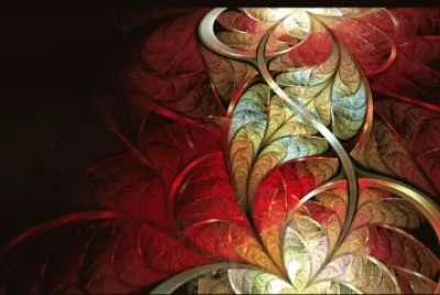 autumn leaves