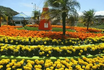 FaraÃ³n