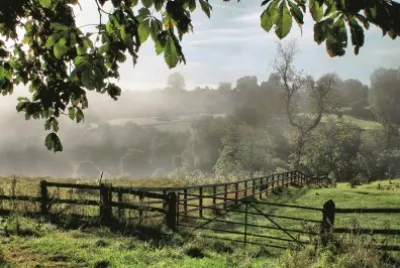 rural landscape