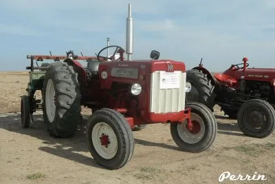 FaraÃ³n jigsaw puzzle