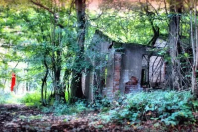 Little Red Riding Hood 's old house jigsaw puzzle
