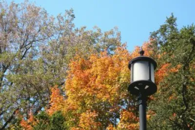 fall light post