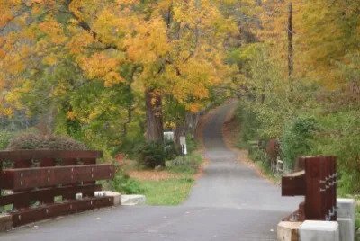 fall CT