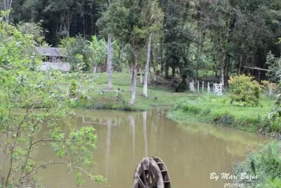 NATUREZA