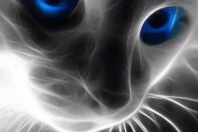 gatos divinos