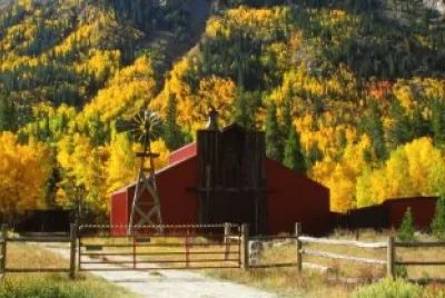 Colorado fall foliage