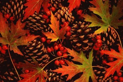 fall treasures