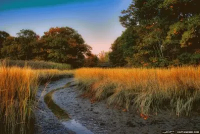 Fore River Sanctuary