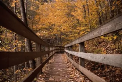 caminos