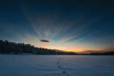 tracks on the lake