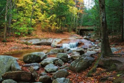 Stream
