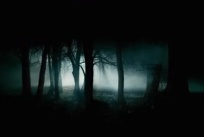 פאזל של bosque nocturno