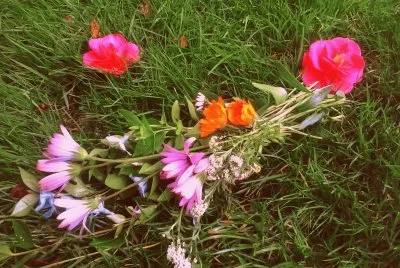 Flors