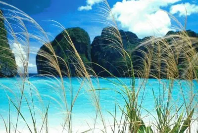 templanza jigsaw puzzle
