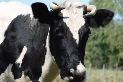 Nati Finca La Lilia, CÃ³rdoba Argentina